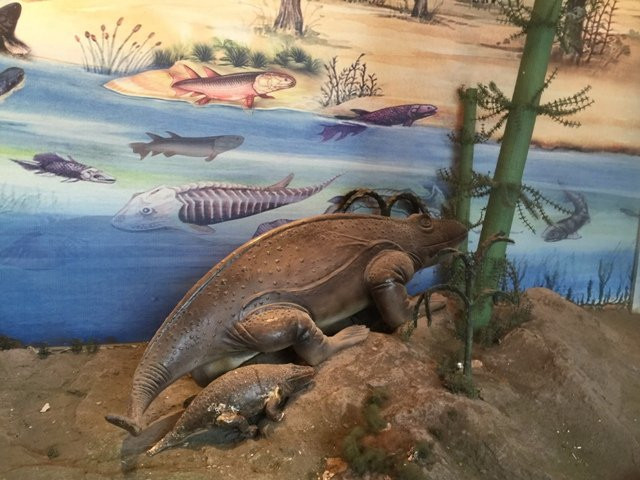 南京古生物博物馆-南京市必去景点