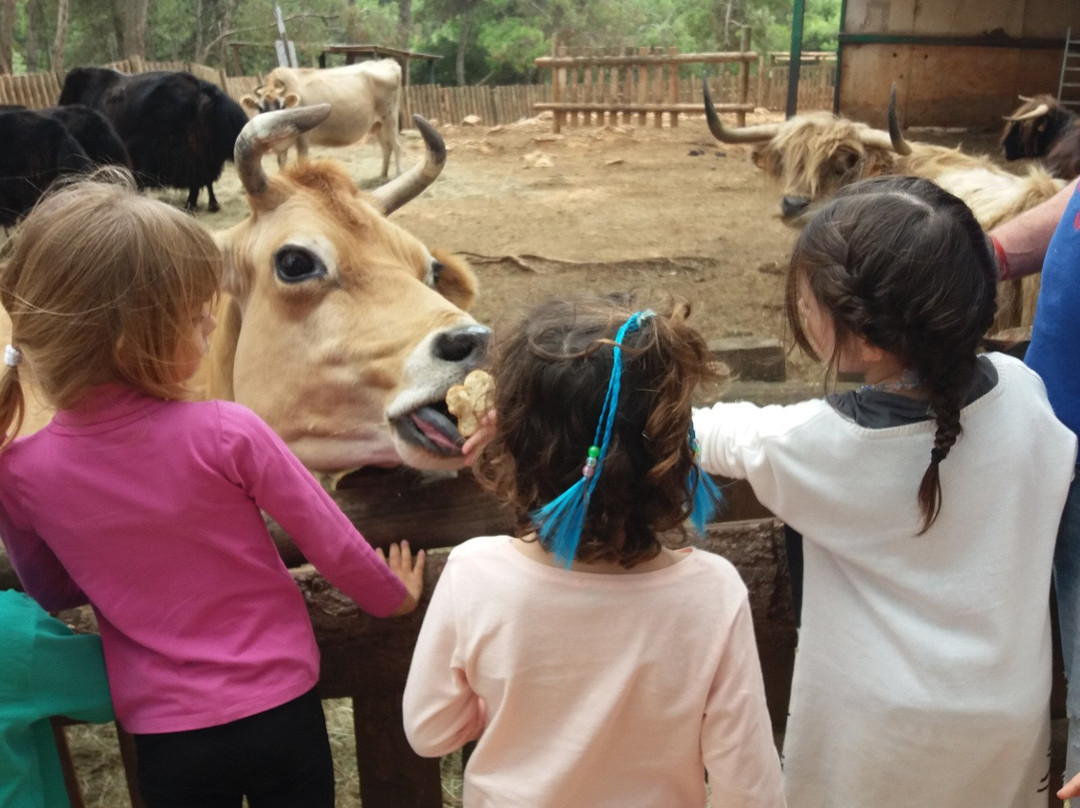 Mini Ferme Zoo-Cessenon-sur-Orb必去景点