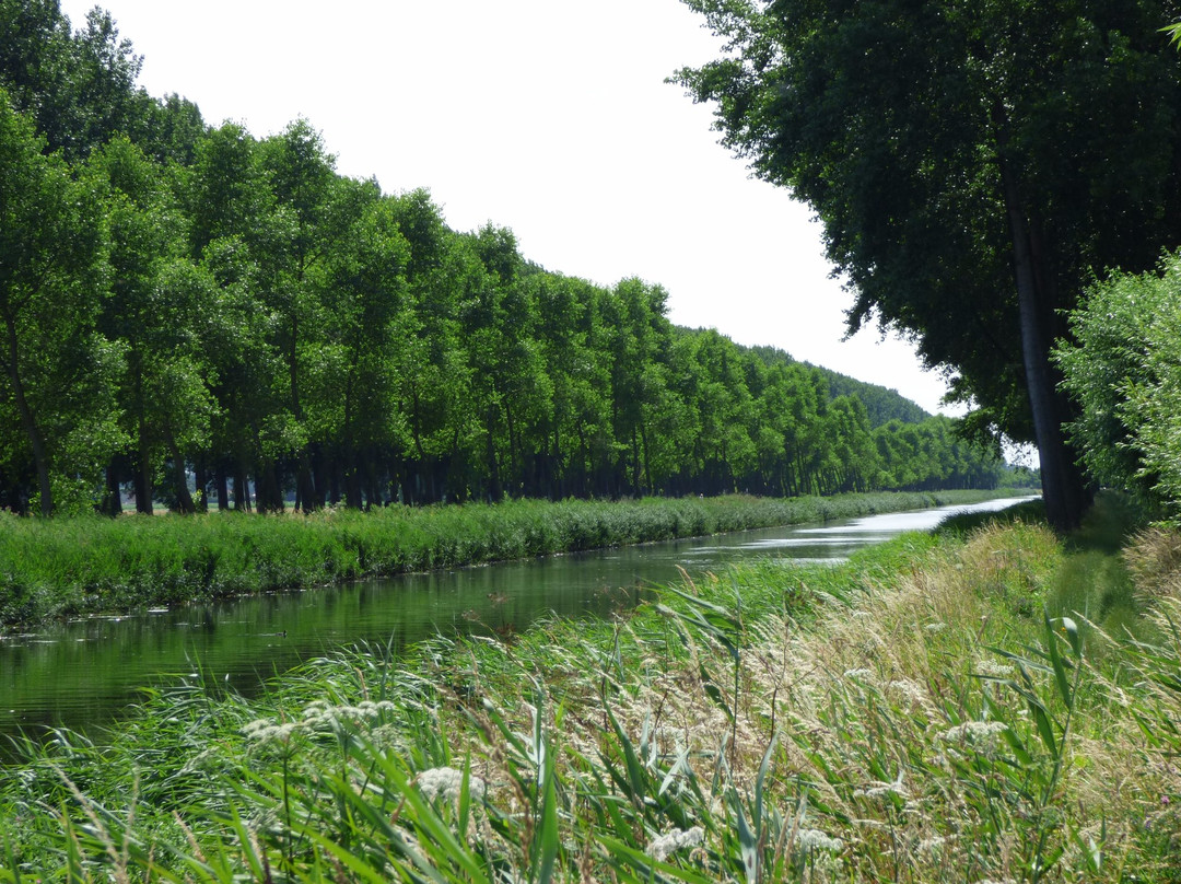 Bruges to Damme Bike Tour景点图片