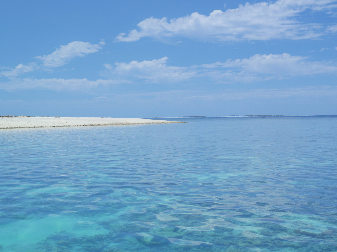 Lady Musgrave Cruises