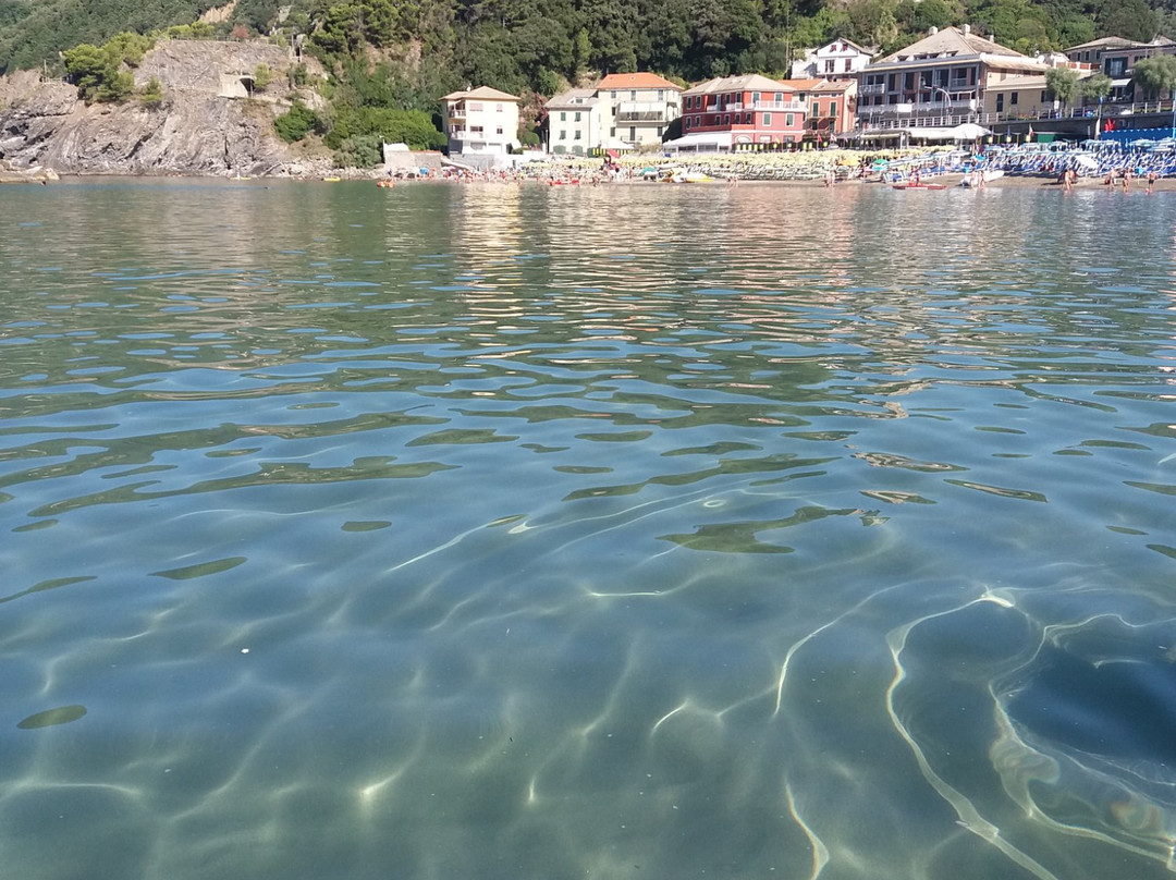 Bagni Orchidea景点图片