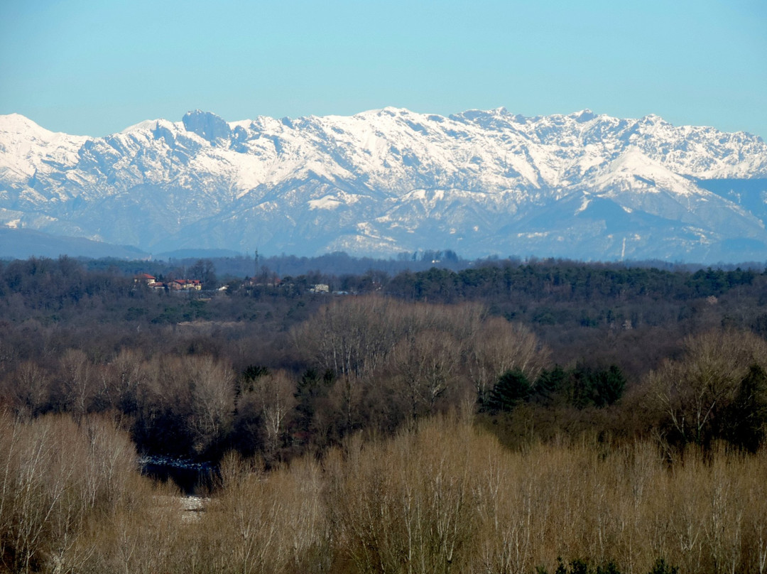 Centro Parco Ex Dogana景点图片