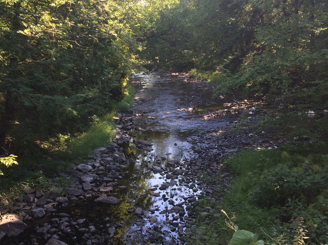 Mill of Kintail Conservation Area-Mississippi Mills必去景点