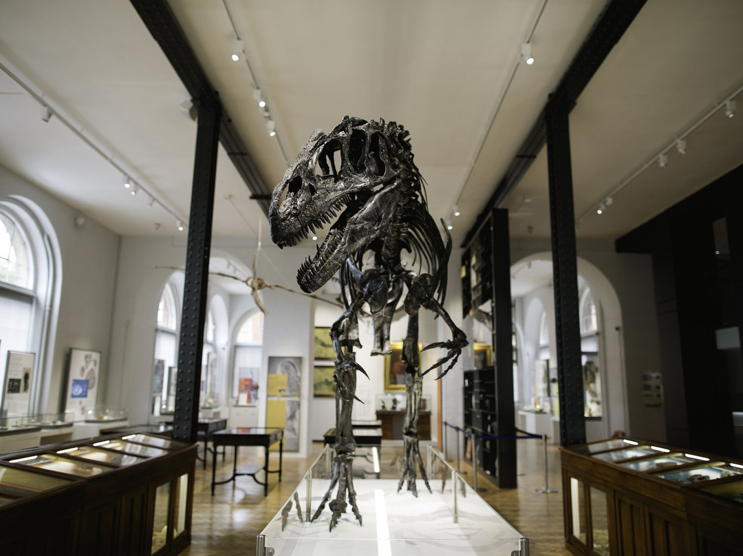 Lapworth Museum of Geology景点图片