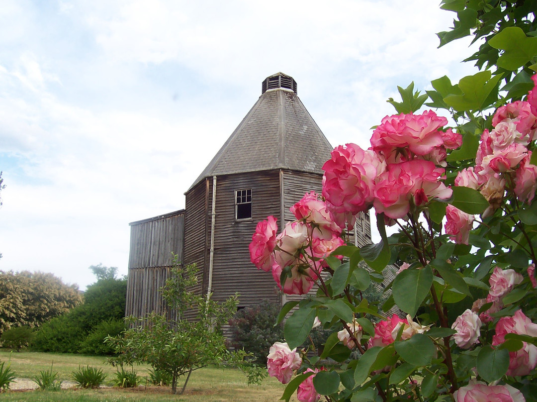 Matilda's of Ranelagh主图