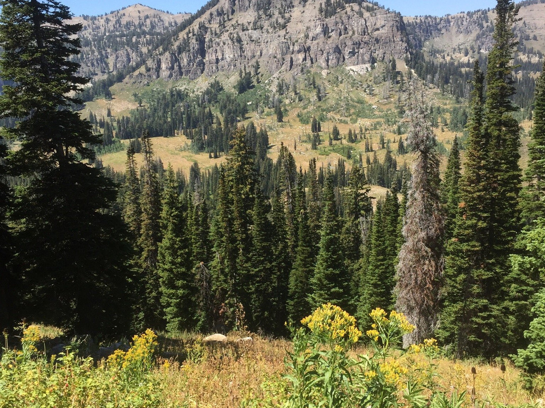 White Pine Lake-洛根必去景点