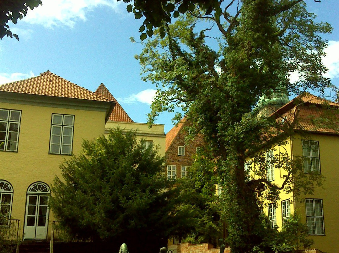 Museum Behnhaus Draegerhaus景点图片
