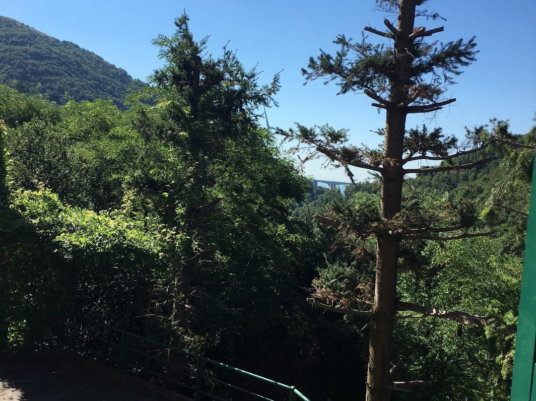 Hotel Fado "78主图