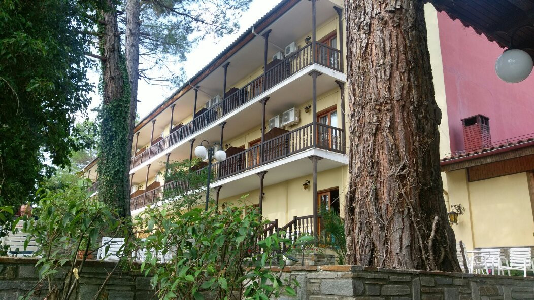 Milionis Forest Hotel主图