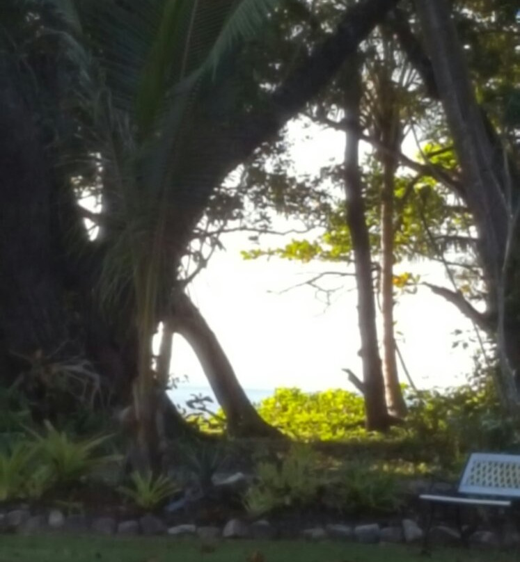 Wonga Beach-Wonga Beach必去景点