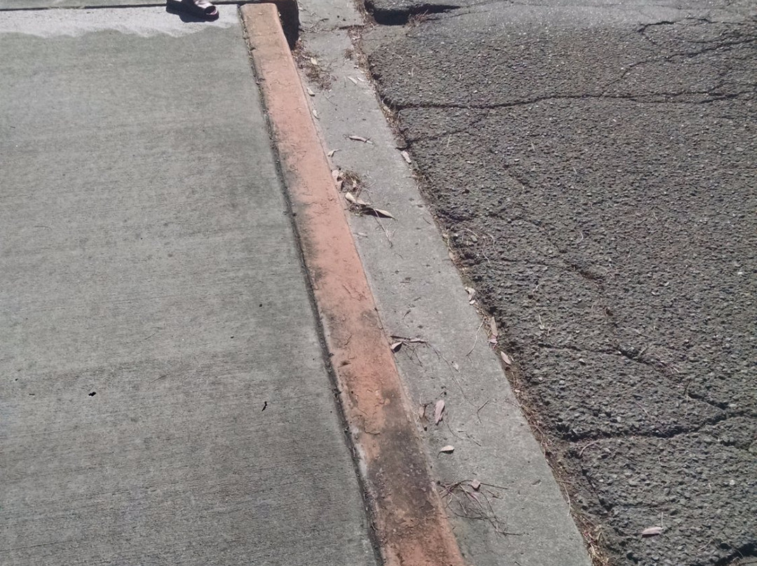 Hayward Fault Exposed-费利蒙必去景点