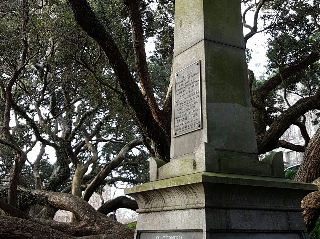 Emily Place Reserve-奥克兰中心地区必去景点