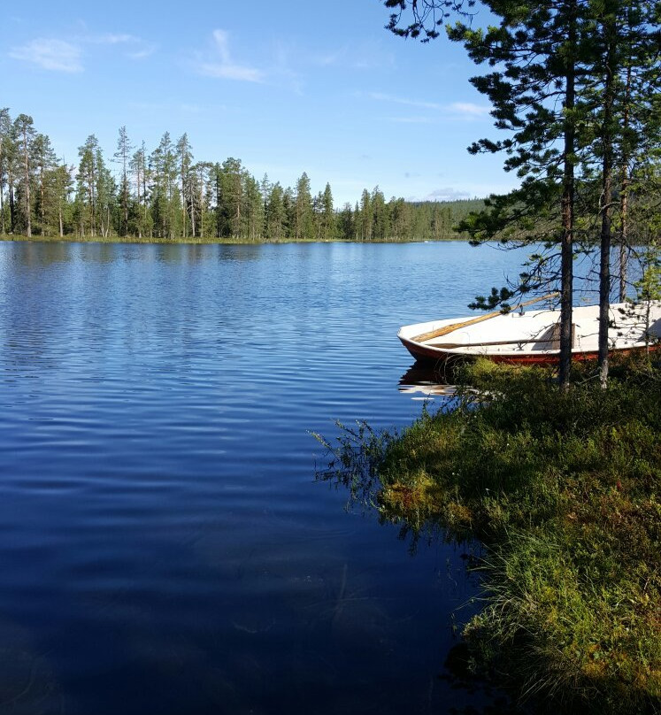 Wilderness Life in Arvidsjaur景点图片