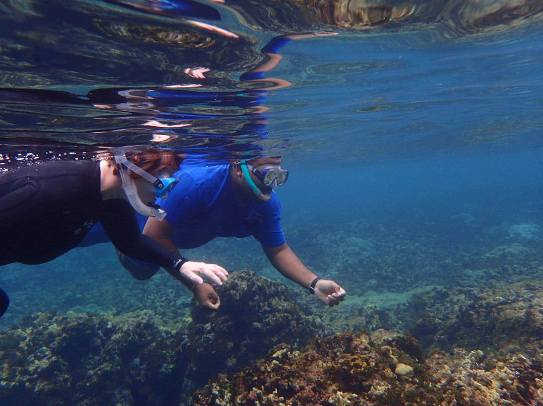 Bad Barts Manzanillo Dive Shop and Adventures景点图片