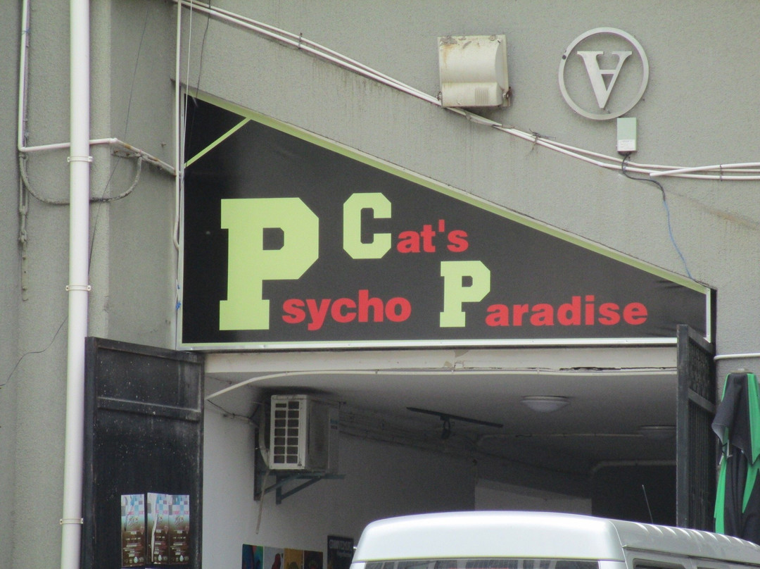 Psycho Cat's Paradise-南京市必去景点
