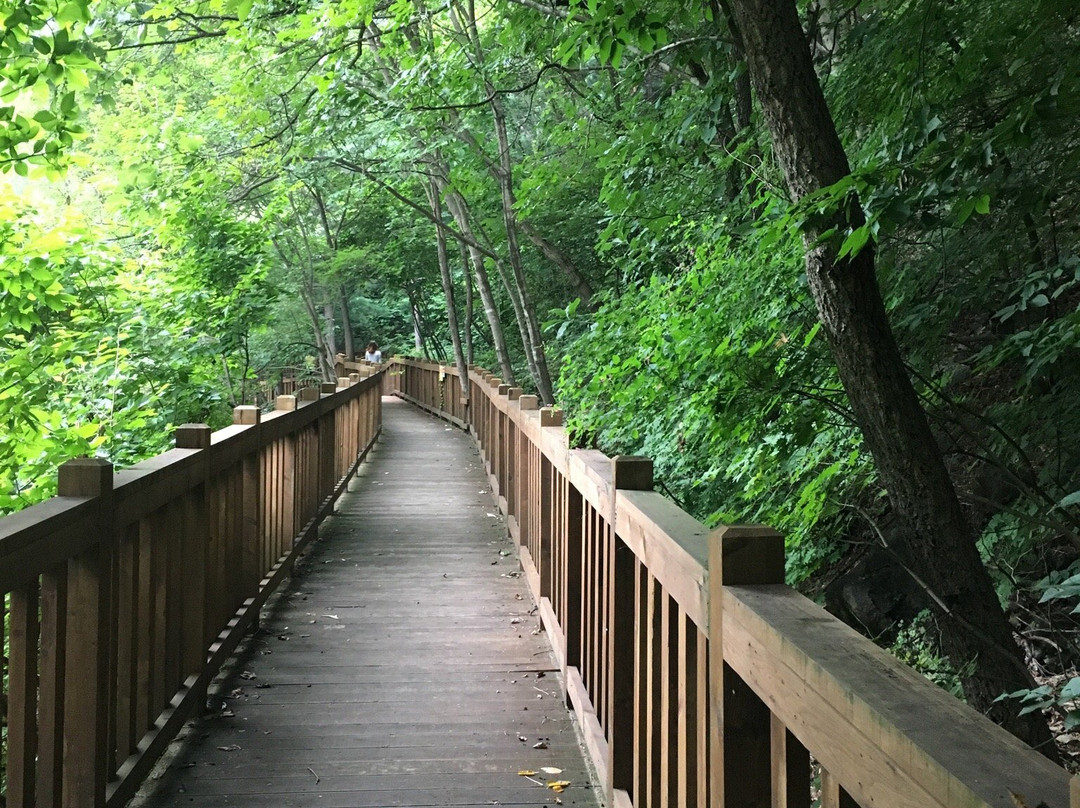 Kalbongsan Recreational Forest-加平郡必去景点