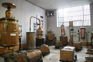 Musee des Liqueurs Cherry Rocher景点图片