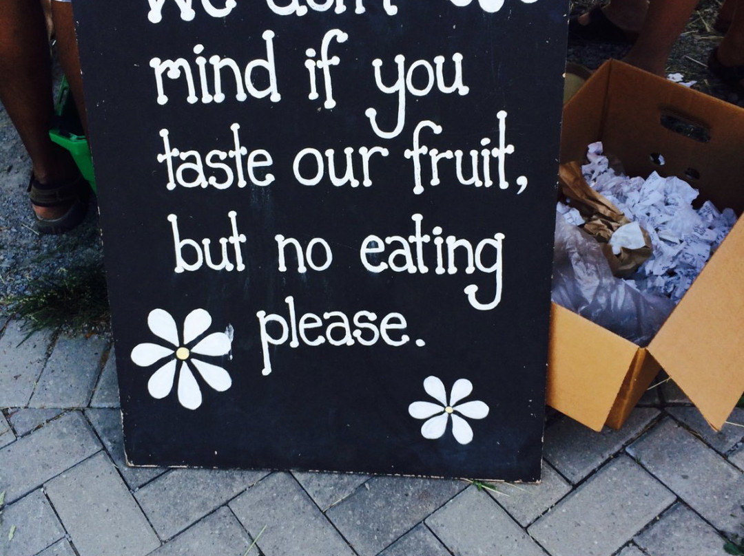 Organics Family Farm-万锦市必去景点