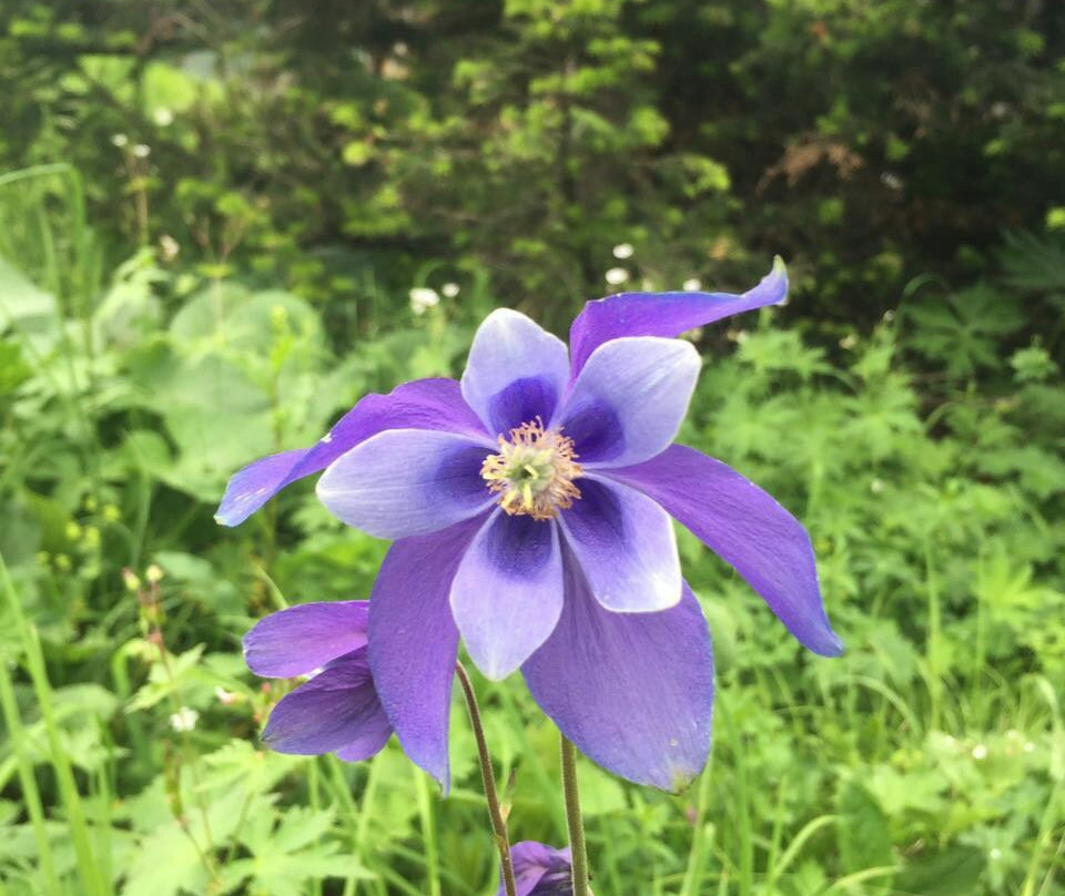 Aru-Kem Lake-Kulada必去景点