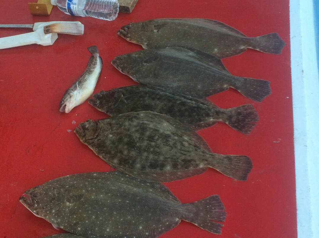 Martha Marie Fishing Charters-刘易斯必去景点