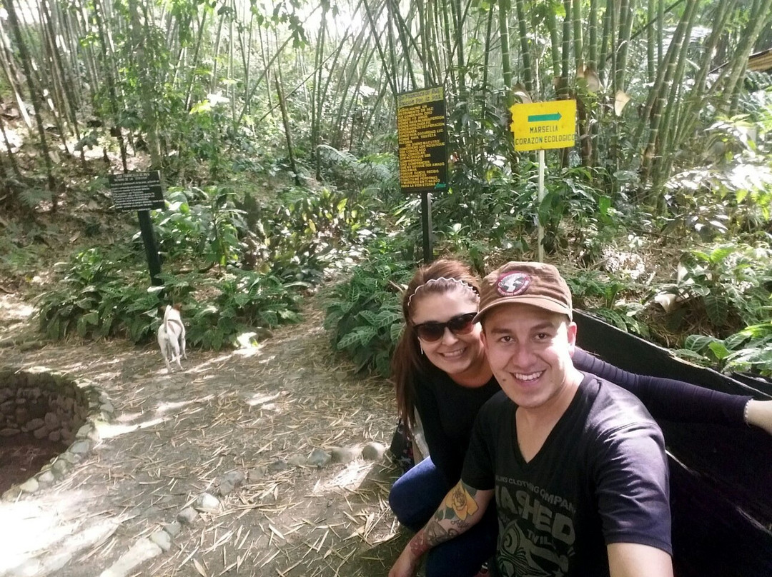 Jardin Botanico Alejandro Humboldt-Marsella必去景点