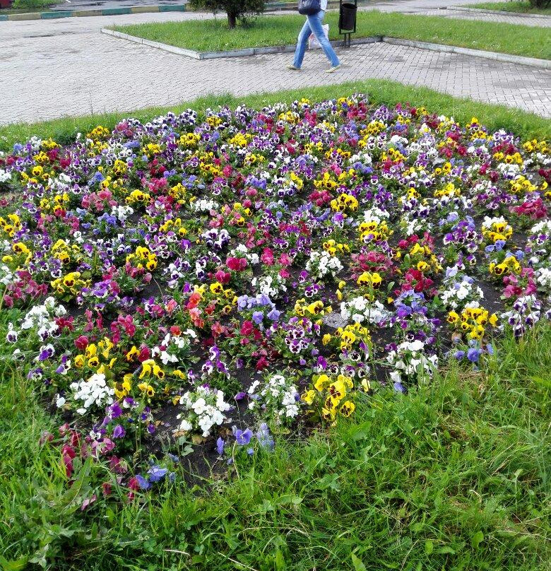 Prinarskiy Park景点图片