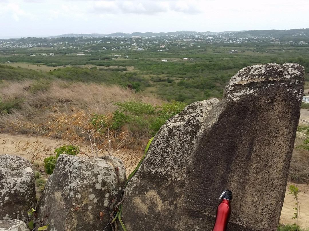 Megaliths Of Greencastle Hill-安提瓜必去景点