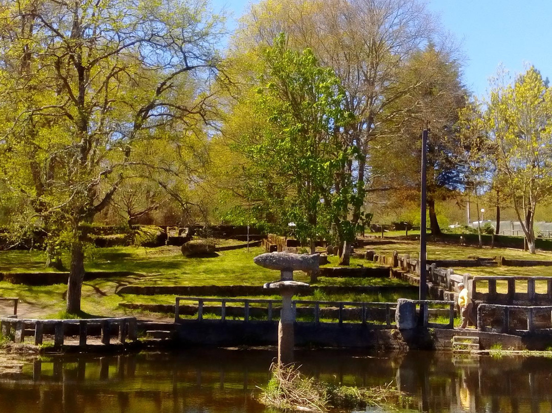 Monterroso旅游攻略图片