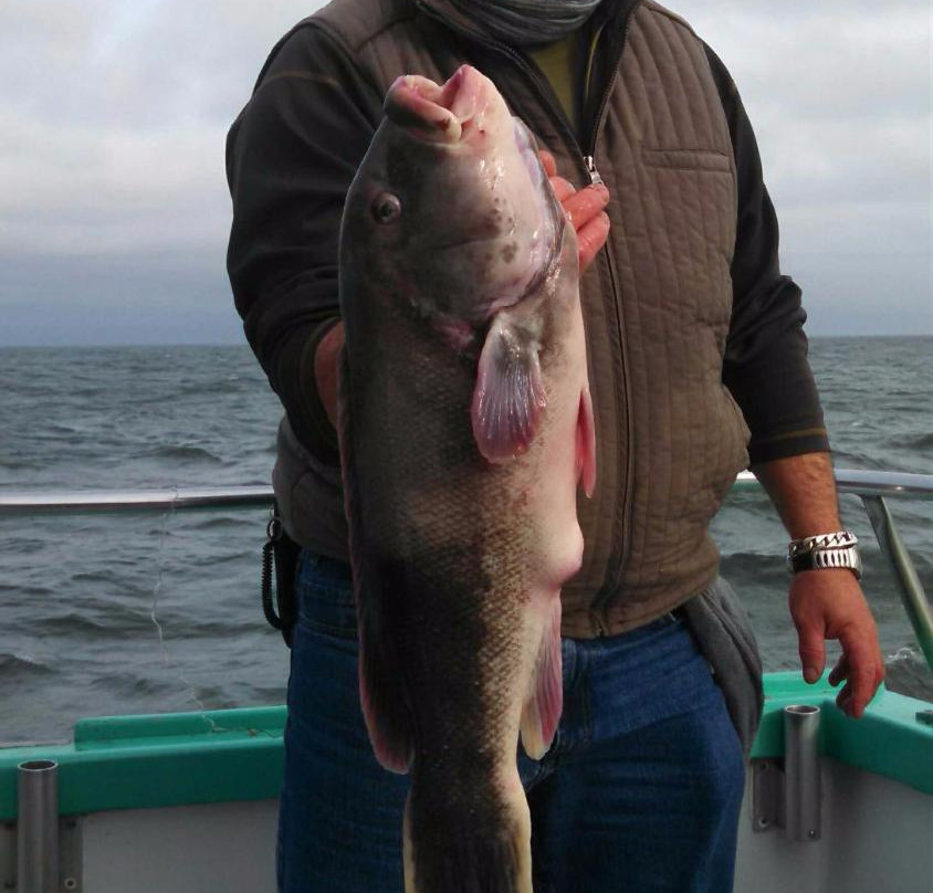 Atlantic Star Fishing-Atlantic Highlands必去景点