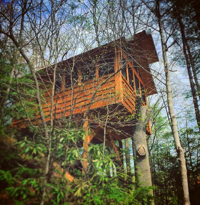 Camp LeConte Luxury Outdoor Resort