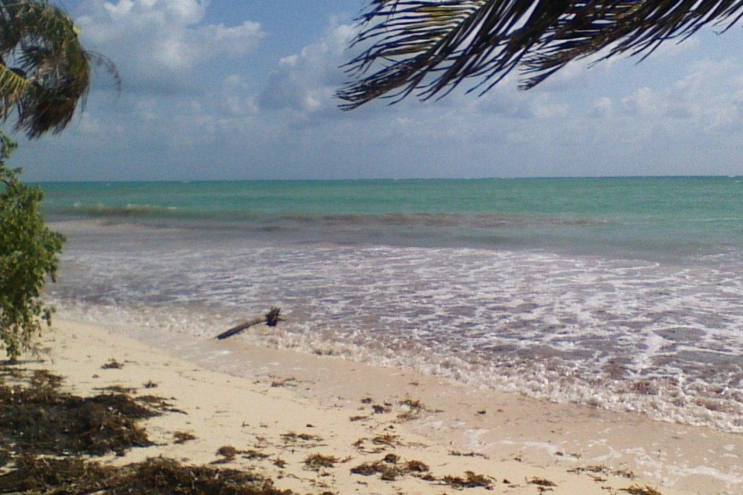 Boca Paila Fishing Flats-图伦必去景点