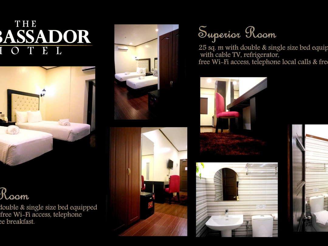 The Ambassador Hotel主图