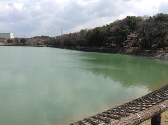 Botagaike Park-三好市必去景点