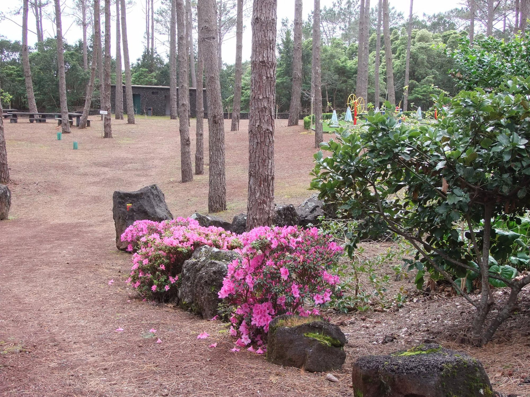Parque Florestal de Sao Joao-Lajes do Pico必去景点