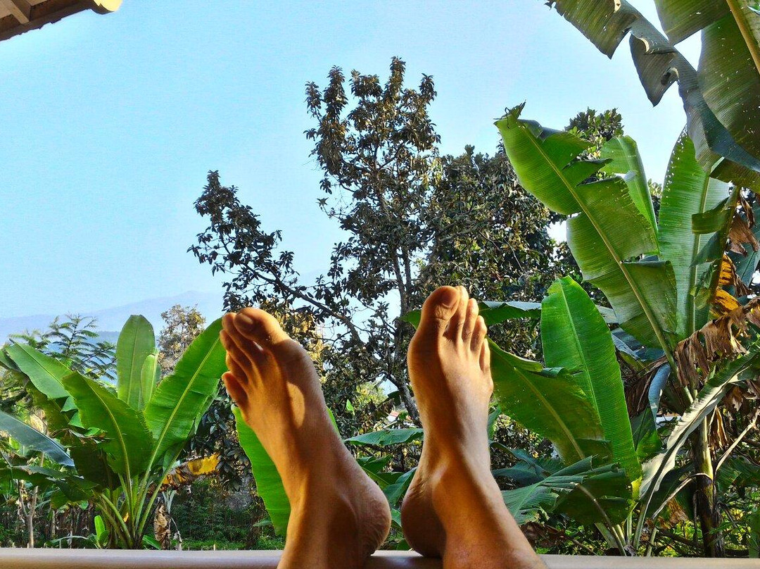 Puri Wisata Hotel主图