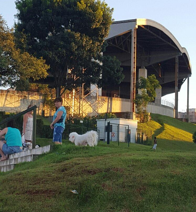 Estadio Regional Willie Davids-Maringa必去景点