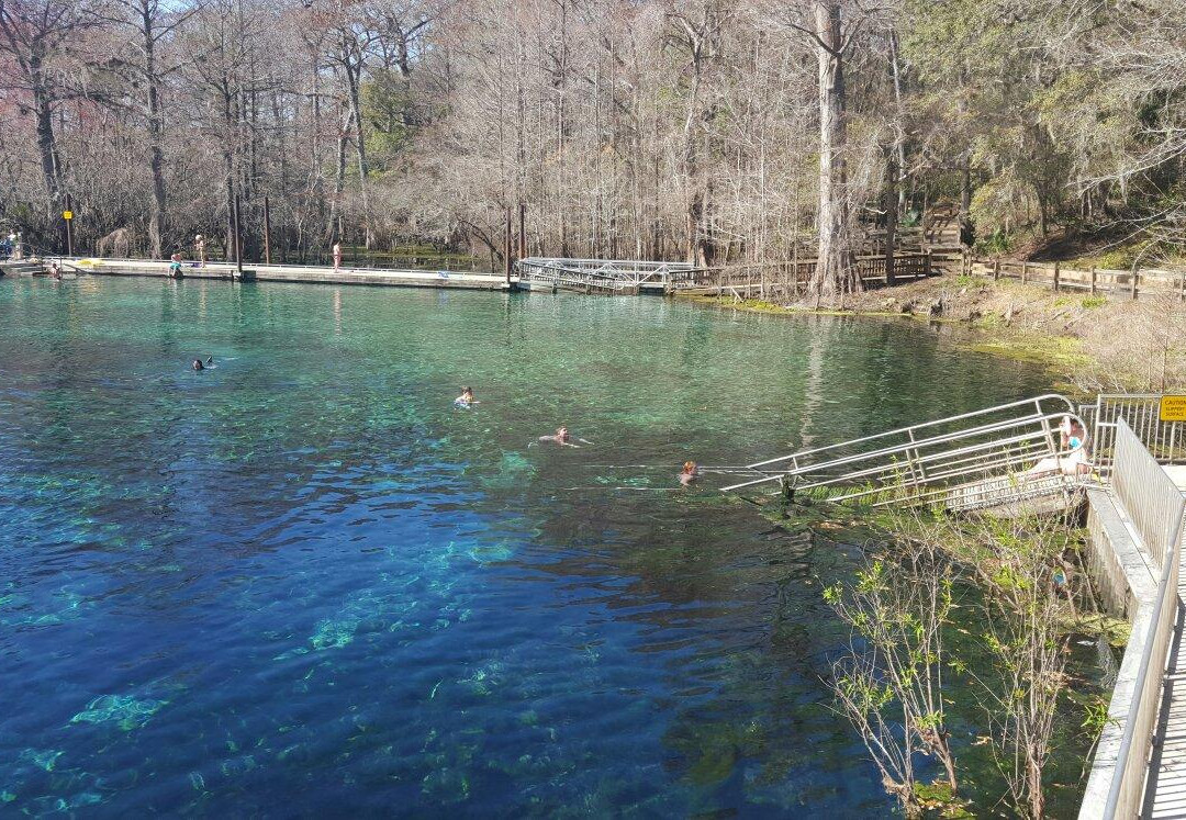 Fanning Springs旅游攻略图片