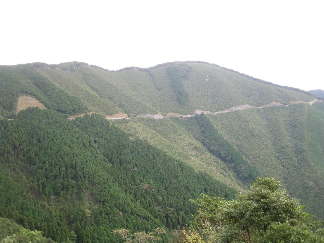爱南町旅游景点-Ashizuri Uwakai National Park Sasayama Mountain