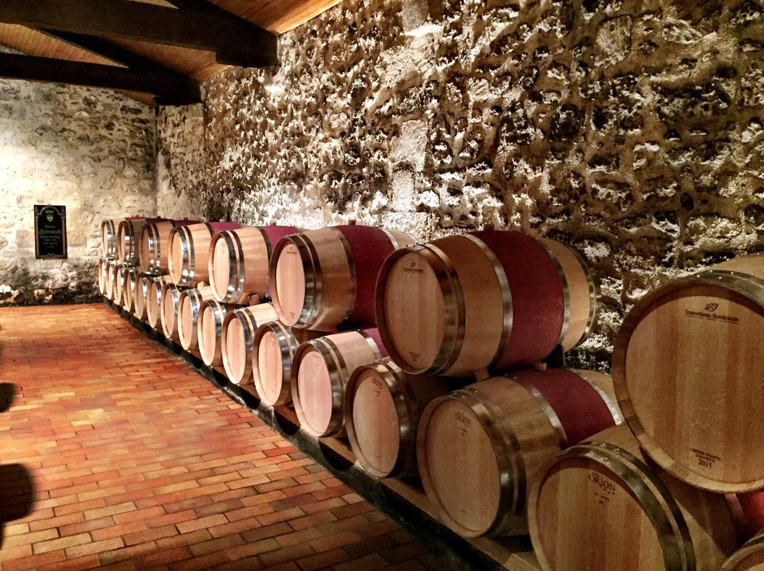 Château Fonrazade-圣埃美隆必去景点