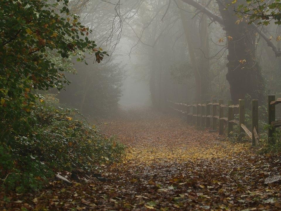 St Helens Park景点图片