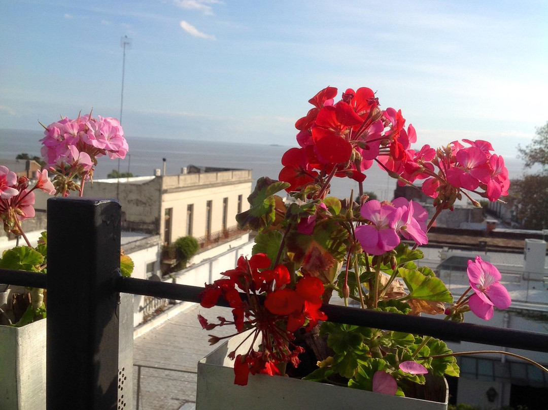 Museo del Humor-科洛尼亚·德尔萨克拉门托城必去景点