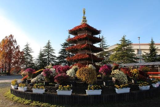 Tamba Sports Park-京丹波町必去景点
