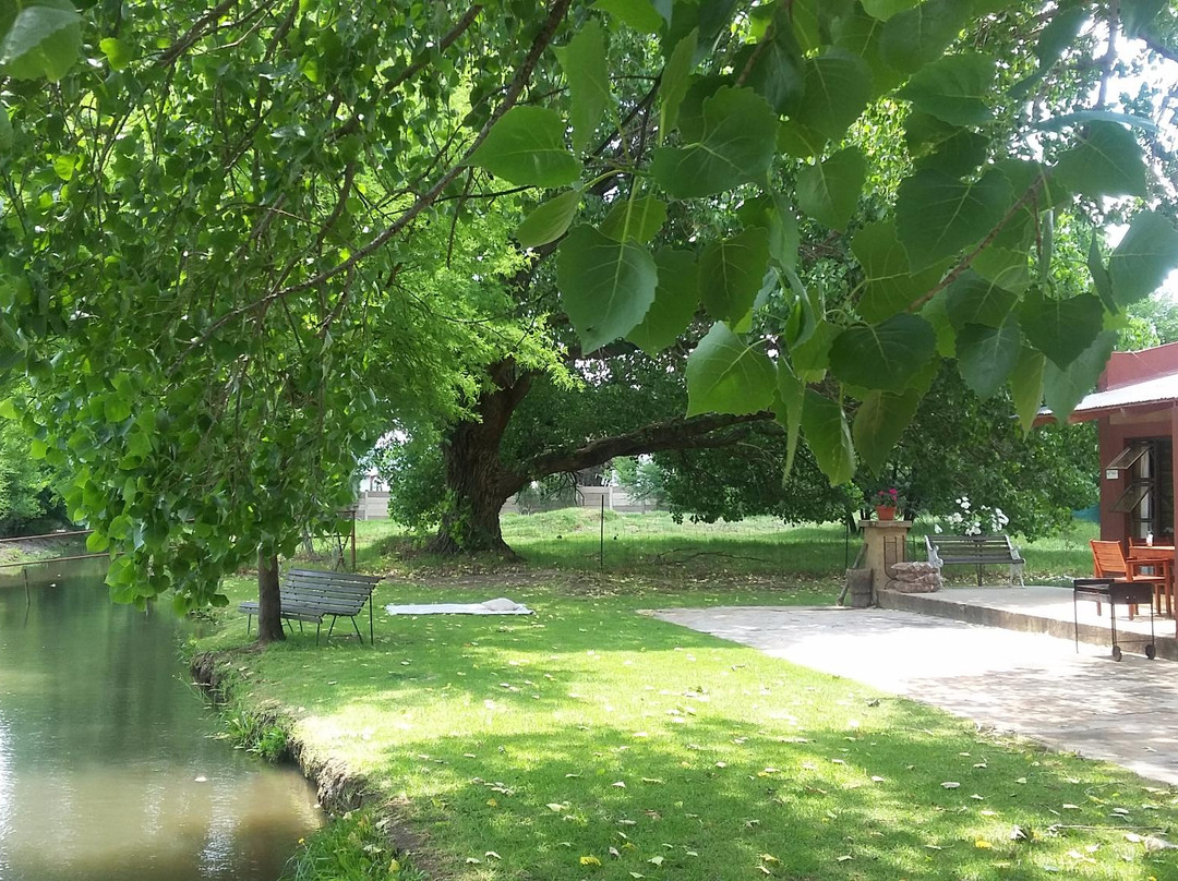 Parys酒店住宿-African Olive Country Estate