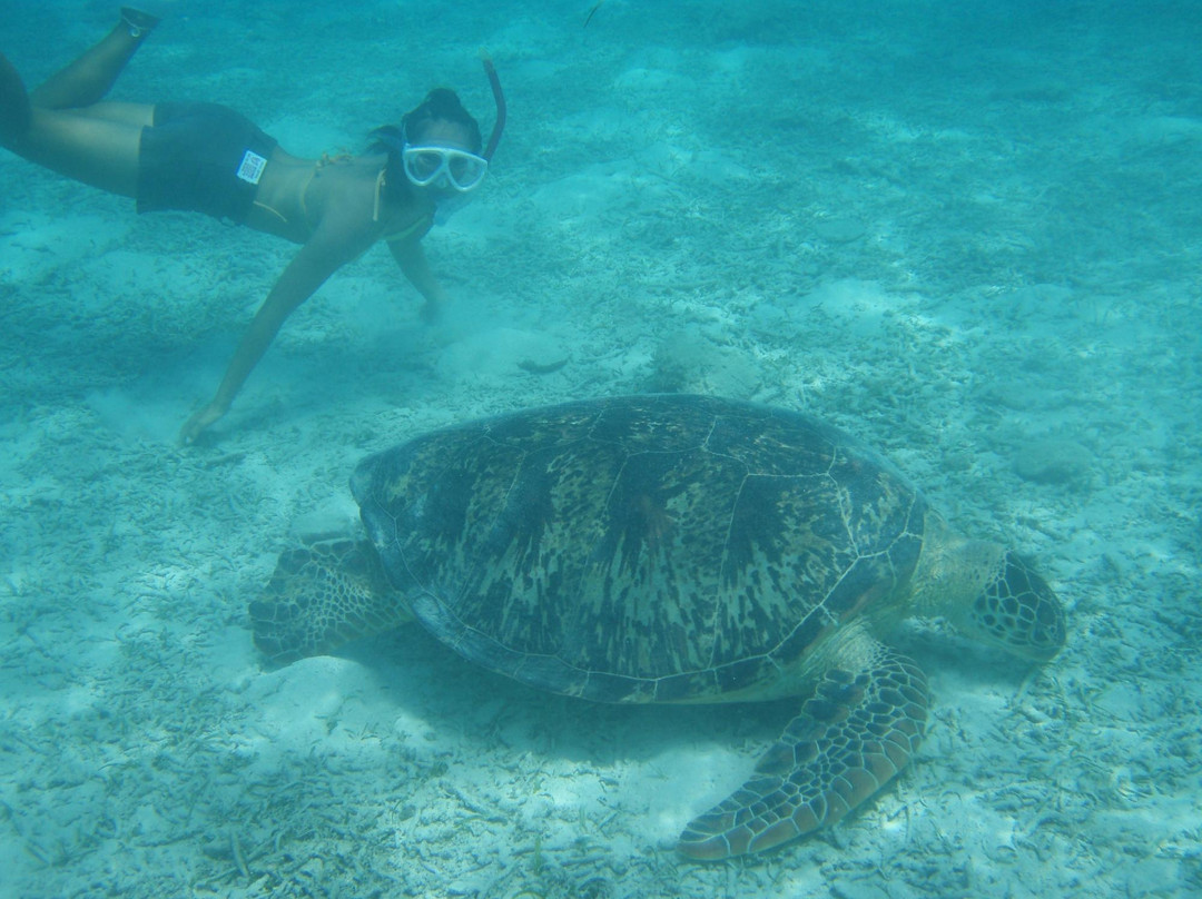 Island's Trip - Day Tour-渡嘉敷村必去景点