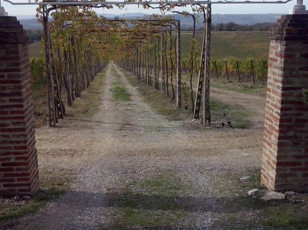 Siena Bike Rentals-锡耶纳必去景点