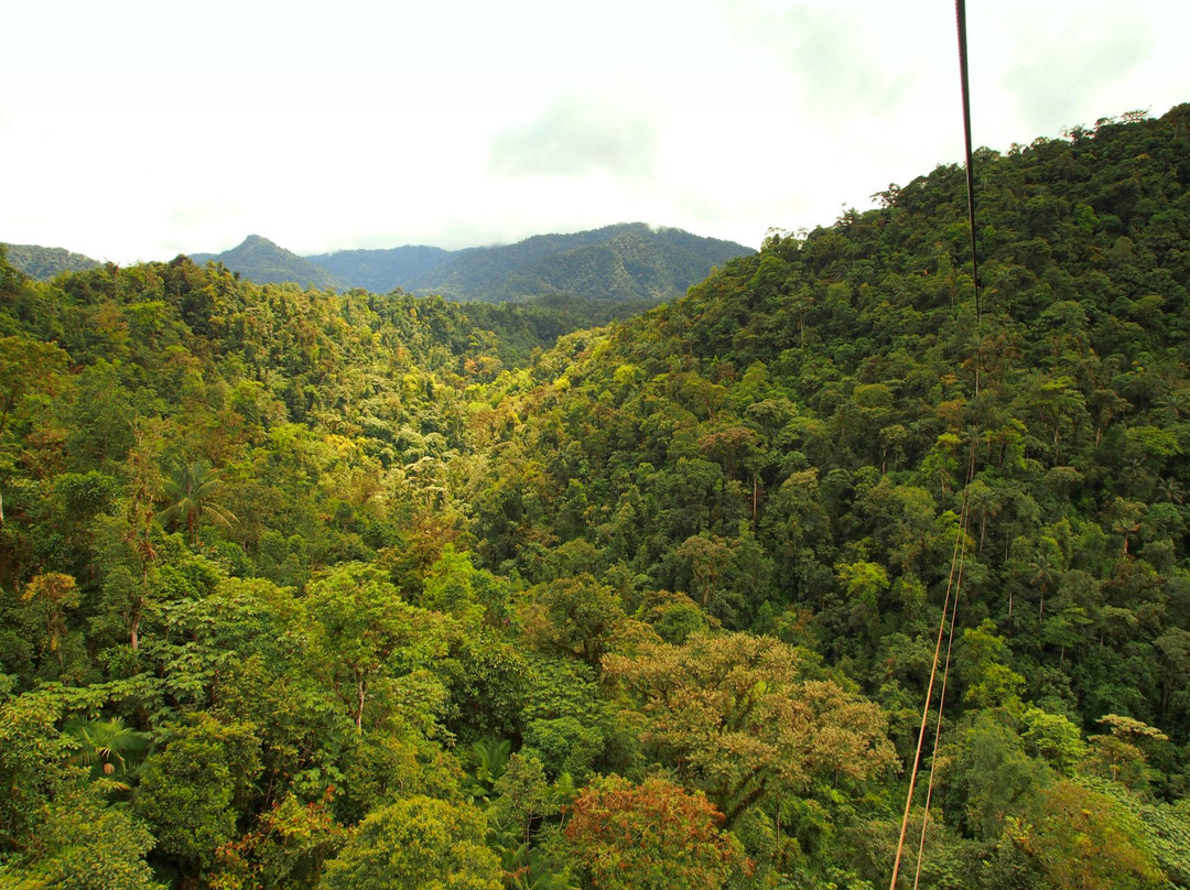 Hostal Charito de Mindo主图