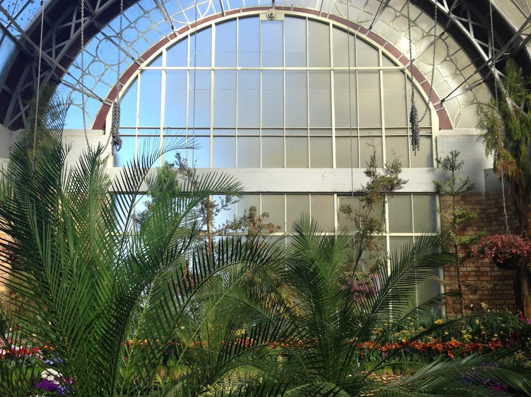 Winter Garden Auckland Domain-奥克兰中心地区必去景点