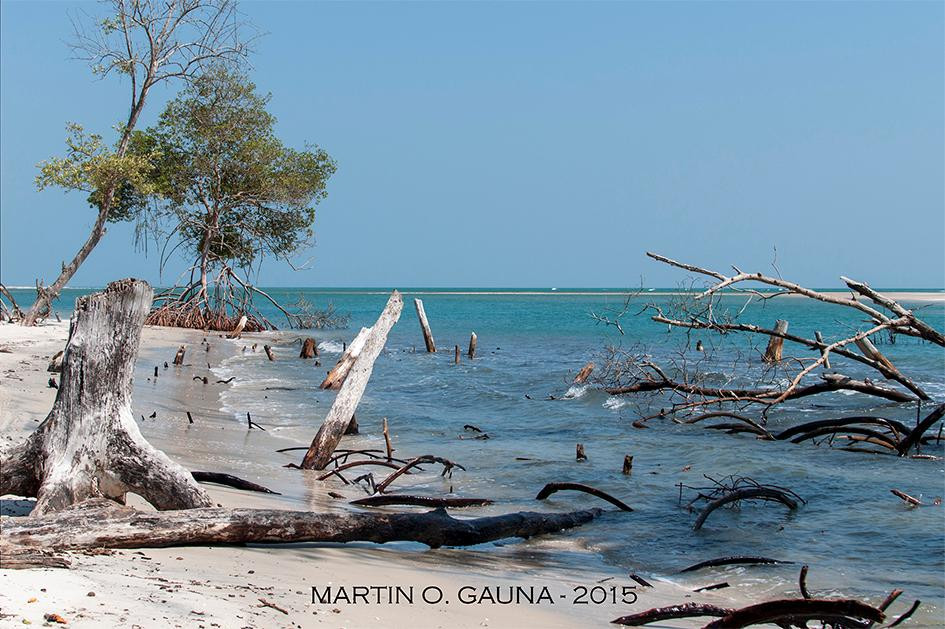 Praia Mangue Seco景点图片