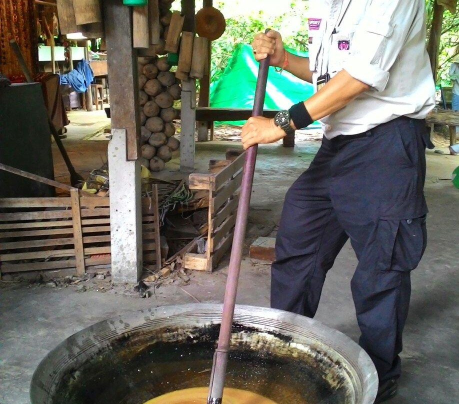 Sugar Palm Village景点图片
