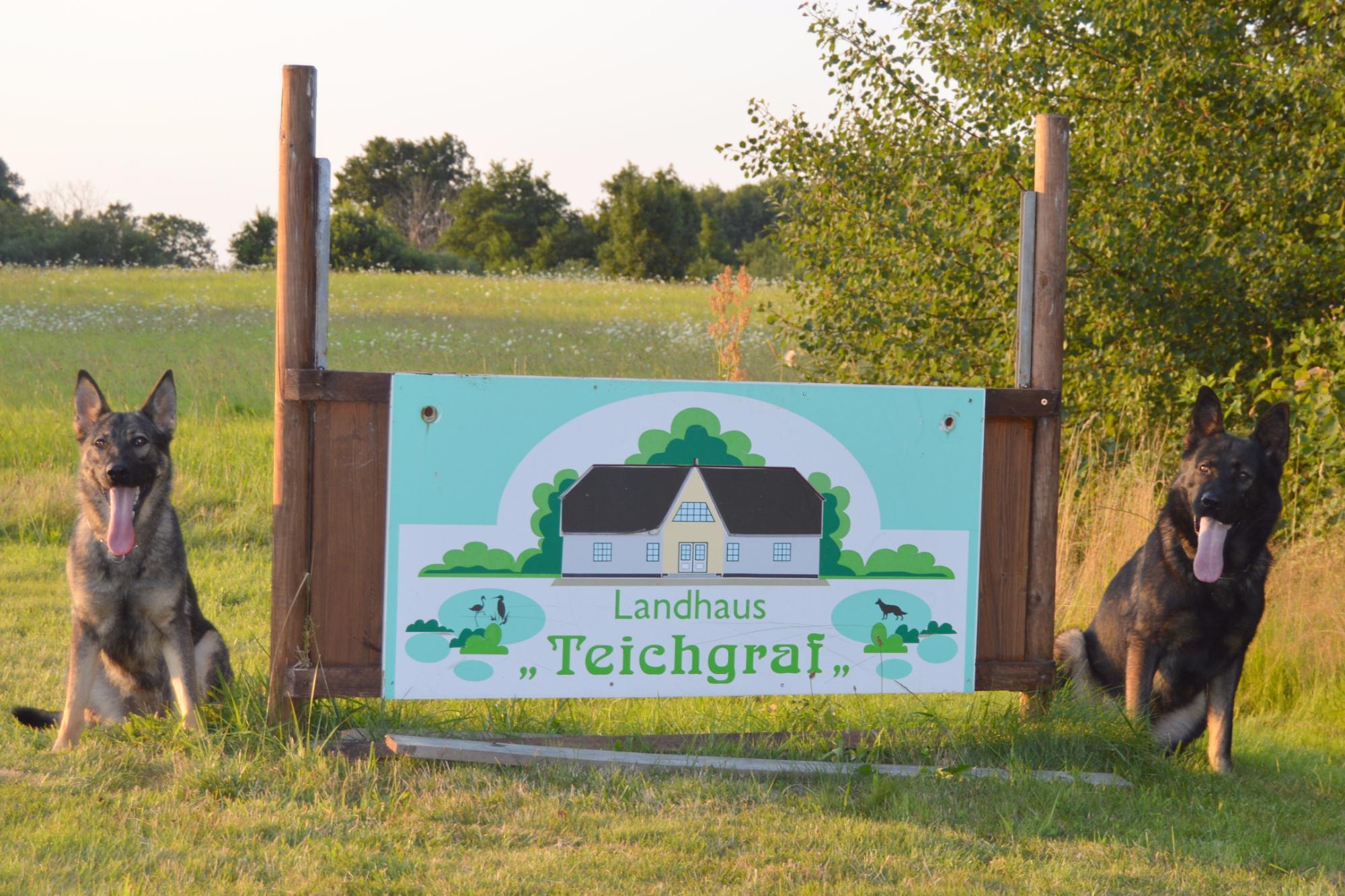 Pension Landhaus Teichgraf-官方